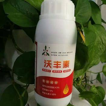 农产品批发供应商王在成 - 惠农网电脑版